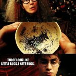 harry potter | IT’S…THE GRIM! THOSE LOOK LIKE LITTLE BUGS. I HATE BUGS. | image tagged in harry potter | made w/ Imgflip meme maker