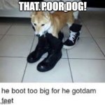 L so big boot too big | THAT POOR DOG! | image tagged in l so big boot too big | made w/ Imgflip meme maker