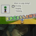 Excellent luigi