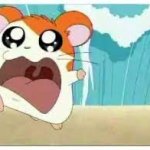 Hamtaro