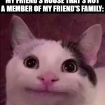 I just shut up until I have to leave | WHEN I'M THE ONLY ONE AT MY FRIEND'S HOUSE THAT'S NOT A MEMBER OF MY FRIEND'S FAMILY: | image tagged in awkward silence cat,friends,family,meet up | made w/ Imgflip meme maker