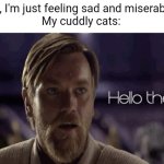 Cats can apparently smell when you are sad and may show up to help you feel better! | Me: "Man, I'm just feeling sad and miserable today."
My cuddly cats: | image tagged in obi wan hello there | made w/ Imgflip meme maker