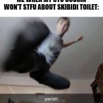 STOP POSTING ABOUT SKIBIDI TOILET!!!!! I'M TIRED OF SEEING IT!!!!!!! | ME WHEN MY 8YO COUSIN WON'T STFU ABOUT SKIBIDI TOILET: | image tagged in perish kick | made w/ Imgflip meme maker