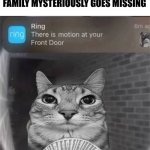 motion | THE LAST THING THE NEIGHBOR
SEES BEFORE HIS WHOLE
FAMILY MYSTERIOUSLY GOES MISSING | image tagged in motion | made w/ Imgflip meme maker