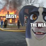 Disaster Jacob AKA Moongchi From A Dog's Courage AKA Underdog But Daisy: A Hen Into The Wild AKA Leafie: A Hen Into The Wild | DAISY; THE WEASEL | image tagged in disaster jacob aka moongchi from a dog's courage aka underdog | made w/ Imgflip meme maker