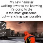 Why do hamsters always die in a horribly gruesome way? | My new hamster walking towards me knowing it's going to die in the most gruesome, gut-wrenching way possible | image tagged in gifs,memes,funny,hamster,i never know what to put for tags | made w/ Imgflip video-to-gif maker