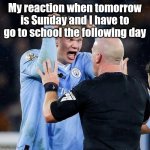 Bruh, I don't like Mondays | My reaction when tomorrow is Sunday and I have to go to school the following day | image tagged in angry haaland,memes,mondays,school,relatable | made w/ Imgflip meme maker