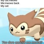 I wish i had a cat | My cat:meows
Me:meows back
My cat: | image tagged in furret you dare oppose me mortal,cats | made w/ Imgflip meme maker