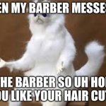 Angry Cat Meme | WHEN MY BARBER MESSES UP; THE BARBER SO UH HOR YOU LIKE YOUR HAIR CUT? | image tagged in angry cat meme | made w/ Imgflip meme maker