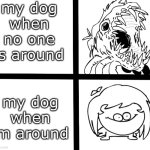 Sr Pelo Ill meme | my dog when no one is around; my dog when im around | image tagged in sr pelo ill meme | made w/ Imgflip meme maker