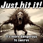 Driving 101 | Just hit it! It’s more dangerous
to swerve | image tagged in roadkill,memes,driving,still a better love story than twilight,cursed image | made w/ Imgflip meme maker