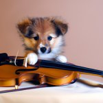 Cute Puppy Playing a Violin