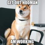 Cute shiba inu sitting like a business man | GET OUT HOOMAN; AM WORKING | image tagged in cute shiba inu sitting like a business man | made w/ Imgflip meme maker
