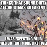 Things That Sound Dirty At Christmas But Aren't (Part 10) | THINGS THAT SOUND DIRTY AT CHRISTMAS BUT AREN'T:; I WAS EXPECTING FOUR INCHES BUT GOT MORE LIKE TWELVE. | image tagged in nature christmas,fun,humor,funny,double entendre | made w/ Imgflip meme maker