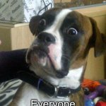 Nooo... | Me: Lights a fire; Everyone in the forest: | image tagged in blankie the shocked dog | made w/ Imgflip meme maker