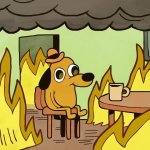 This is Fine GIF Template