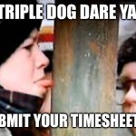 Triple dog dare ya | TRIPLE DOG DARE YA; SUBMIT YOUR TIMESHEET !!! | image tagged in christmas story licking pole,timesheet | made w/ Imgflip meme maker