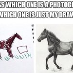 no effort vs effort | AND WHICH ONE IS JUST MY DRAWING; GUESS WHICH ONE IS A PHOTOGRAPH | image tagged in no effort vs effort | made w/ Imgflip meme maker