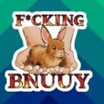 BNUUY meme