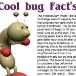 Cool bug facts: Fitness Gram Pacer Test