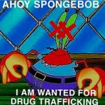 Ahoy sponge