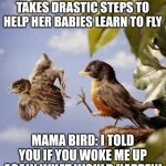 Definistration | NARRATOR: THE MOTHER TAKES DRASTIC STEPS TO HELP HER BABIES LEARN TO FLY; MAMA BIRD: I TOLD YOU IF YOU WOKE ME UP AGAIN WHAT WOULD HAPPEN! | image tagged in bird kicked from nest | made w/ Imgflip meme maker