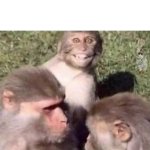 Tense situation monkey