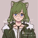 Update: Zinnia
