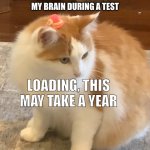 Is true | MY BRAIN DURING A TEST; LOADING, THIS MAY TAKE A YEAR | image tagged in cat in hat,memes | made w/ Imgflip meme maker