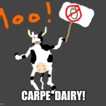 Striking Cow | CARPE  DAIRY! | image tagged in striking cow | made w/ Imgflip meme maker