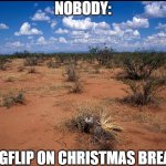 Just a prediction | NOBODY:; IMGFLIP ON CHRISTMAS BREAK: | image tagged in dessert,funny,funny memes,fun,relatable,memes | made w/ Imgflip meme maker