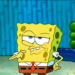 sponge