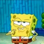 sponge