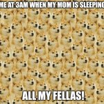 Doge Wall | ME AT 3AM WHEN MY MOM IS SLEEPING; ALL MY FELLAS! | image tagged in doge wall | made w/ Imgflip meme maker