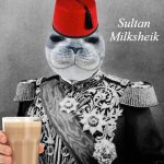 Sultan Milksheik | Sultan Milksheik | image tagged in ottoman leader ww1,memes | made w/ Imgflip meme maker