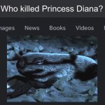 Fake search | Who killed Princess Diana? | image tagged in fake search,memes,shitpost,meme,british royals | made w/ Imgflip meme maker