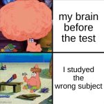 *STILL PASSES* | my brain before the test; I studied the wrong subject | image tagged in patrick big brain,test,school,fun stream,fun,funny | made w/ Imgflip meme maker
