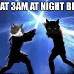 lightsaber duel | CATS AT 3AM AT NIGHT BE LIKE: | image tagged in lightsaber duel | made w/ Imgflip meme maker