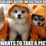 pets in costumes | ME AND MY SIBLINGS BEFORE WE GO TRICK OR TREATING; MOM WANTS TO TAKE A PICTURE | image tagged in pets in costumes | made w/ Imgflip meme maker