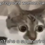 bombastic side eye cat | if a pregnant woman swims, isn't she a submarine? | image tagged in bombastic side eye cat | made w/ Imgflip meme maker