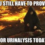 Urinalysis Anikin | YOU STILL HAVE TO PROVIDE; FOR URINALYSIS TODAY | image tagged in anikin burn,navy,urinalysis,urinalysis program,navy drug program,upc | made w/ Imgflip meme maker