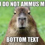 Capybara is not amused | U DO NOT AMMUS ME; BOTTOM TEXT | image tagged in capybara is not amused | made w/ Imgflip meme maker