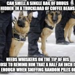 police dogs | CAN SMELL A SINGLE BAG OF DRUGS HIDDEN  IN A TRUCKLOAD OF COFFEE BEANS; NEEDS WHISKERS ON THE TIP OF HIS NOSE TO REMIND HIM THAT A HALF AN INCH IS CLOSE ENOUGH WHEN SNIFFING RANDOM PILES OF POOP | image tagged in police dogs,facts,dogs,cute dogs,dogs an cats,funny dogs | made w/ Imgflip meme maker