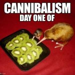 day one of caniball kiwi | DAY ONE OF | image tagged in kiwi | made w/ Imgflip meme maker