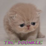 The doonkle meme