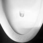 Toilet lid