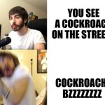 I hate cockroaches | YOU SEE A COCKROACH ON THE STREETS; COCKROACH: BZZZZZZZZ | image tagged in penguinz0,cockroach,flying | made w/ Imgflip meme maker