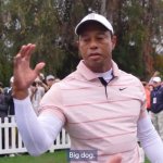 Tiger Woods - Big Dog meme