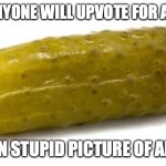 wh\t | PROOF ANYONE WILL UPVOTE FOR ANYTHING; HERES AN STUPID PICTURE OF AN PICKLE | image tagged in pickle | made w/ Imgflip meme maker