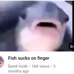 Fish sucks in finger